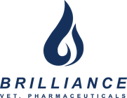 Brilliance logo