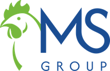 MS Group logo